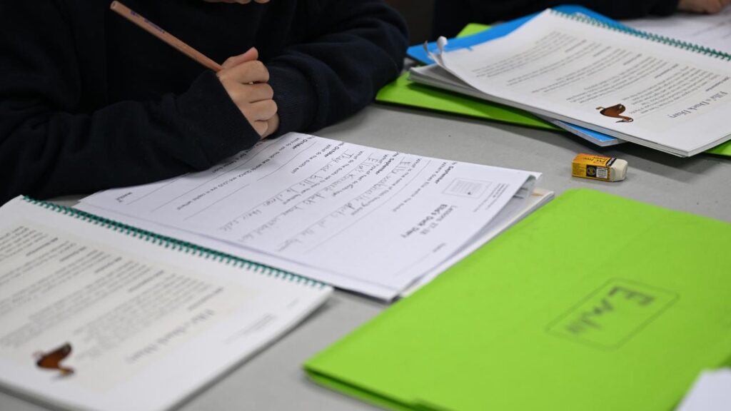 There’s been a jump in year 7 and 9 students needing extra support in writing and numeracy.