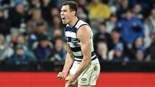 AFL CATS SUNS
