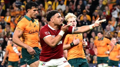 RUGBY WALLABIES LIONS