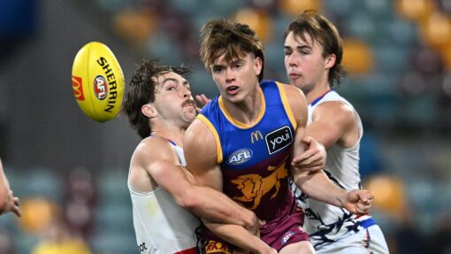 AFL LIONS BULLDOGS