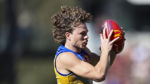 AFL CROWS EAGLES