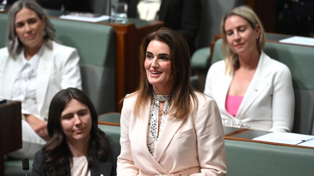Labor MP Ali France spoke of her late son’s courage in her maiden speech to federal parliament.