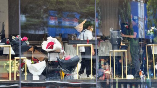VALENTINES DAY SYDNEY