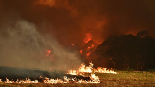 BUSHFIRES