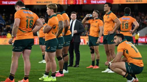 RUGBY WALLABIES LIONS
