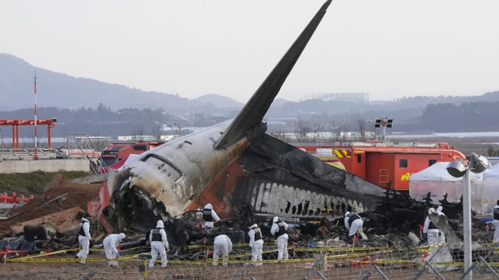 Investigators have updated a preliminary report on a South Korean jet crash that killed 179 people.
