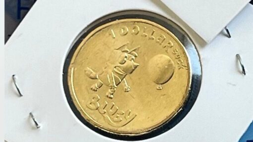 BLUEY COIN BANDIT SYDNEY