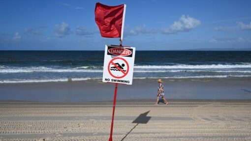 SHARK ATTACK VIGIL