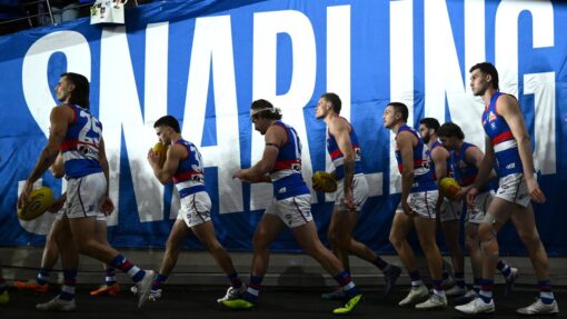 AFL BOMBERS BULLDOGS