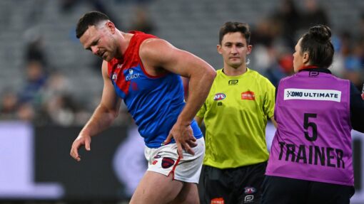 AFL BLUES DEMONS