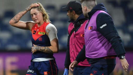 AFLW CATS DEMONS