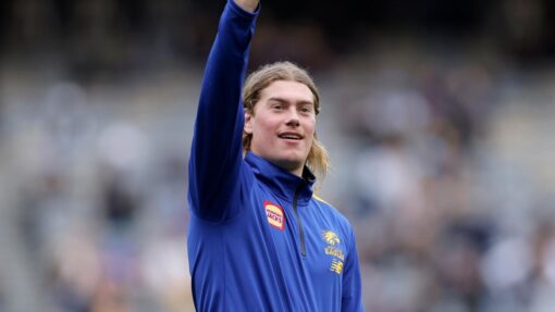 AFL EAGLES BLUES
