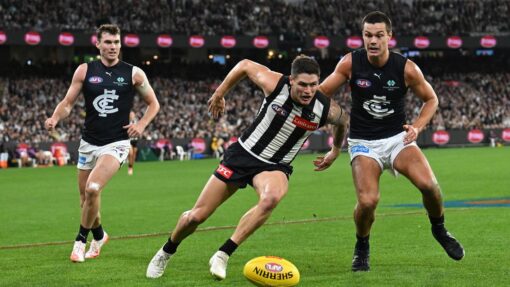 AFL MAGPIES BLUES