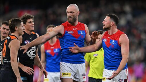 AFL BLUES DEMONS