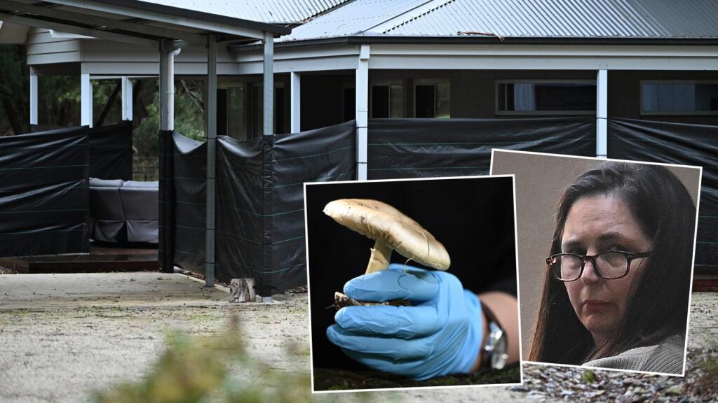 Erin Patterson murdered three people by serving them a poisonous mushroom meal at her home.