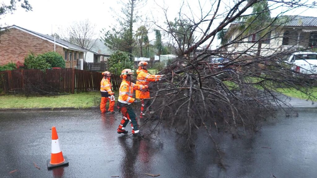 Trees have been blown down and beaches eroded as a wild storm lashes eastern Australia.
