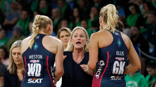 NETBALL FEVER VIXENS