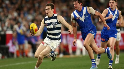AFL KANGAROOS CATS