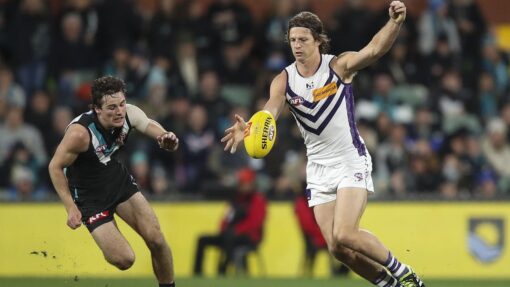 AFL POWER DOCKERS