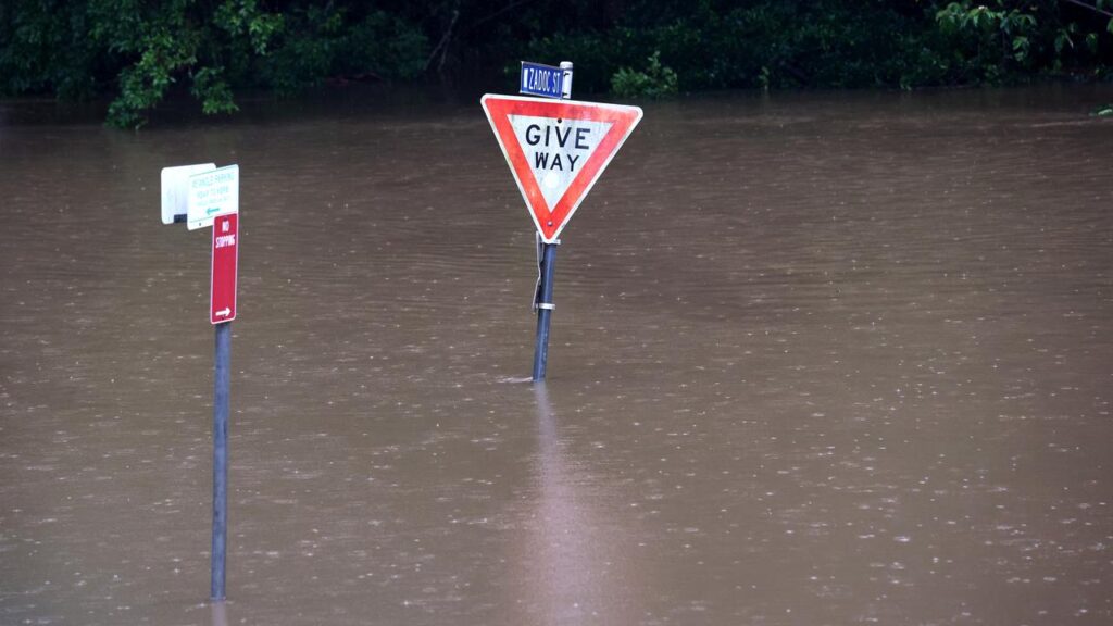 More flooding is forecast for coastal and northwest areas of NSW as heavy rain continues to fall.