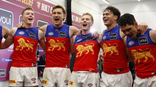 AFL DOCKERS LIONS