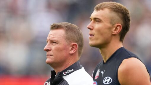 AFL BLUES CATS