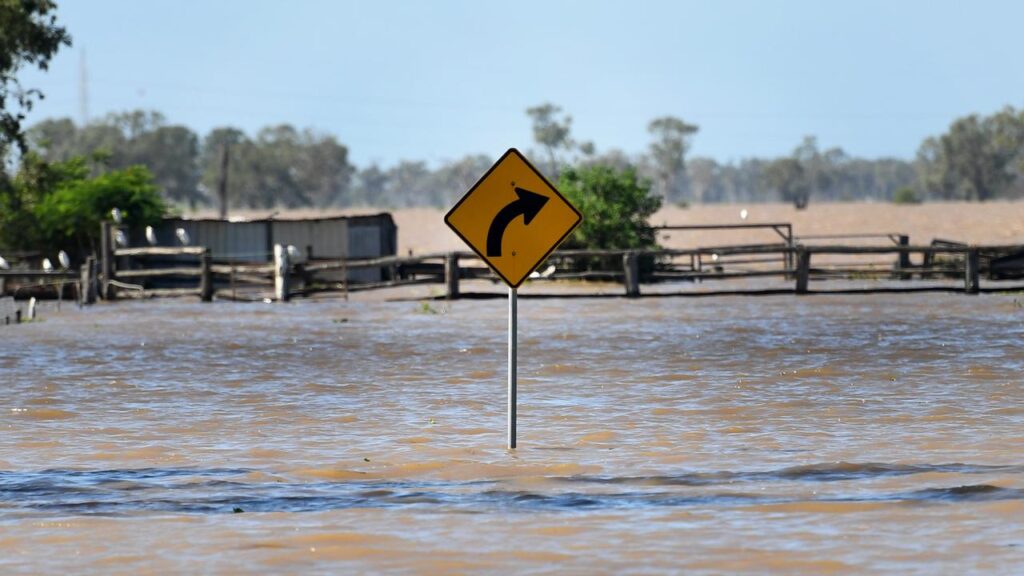 Heavy rain inundated many parts of NSW over the weekend, including the Hunter region.
