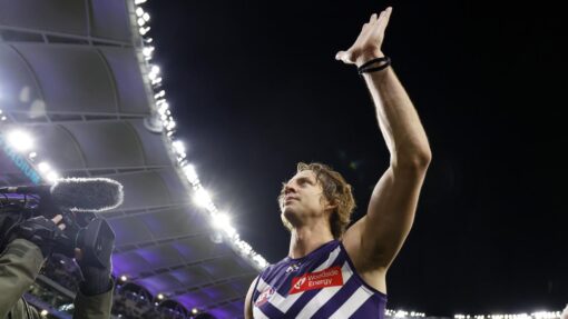 AFL DOCKERS LIONS