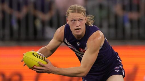 AFL DOCKERS BULLDOGS