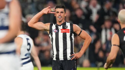 AFL MAGPIES CATS