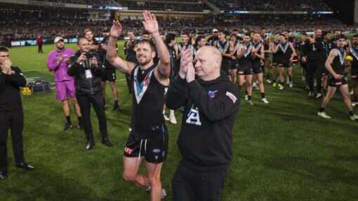 AFL POWER SUNS