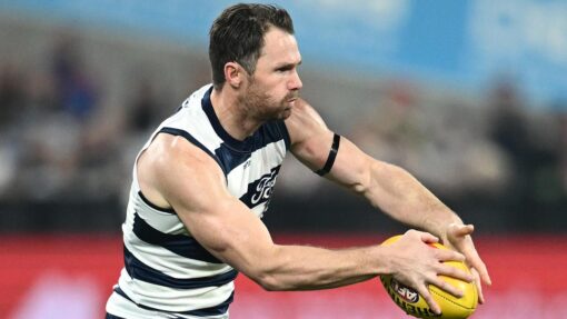 AFL CATS LIONS