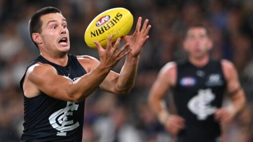AFL BLUES BULLDOGS