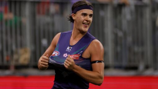 AFL DOCKERS POWER