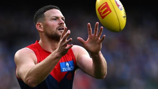 AFL DEMONS MAGPIES