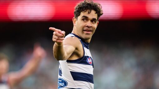AFL TIGERS CATS
