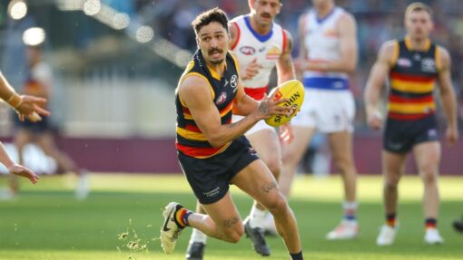 AFL CROWS BULLDOGS