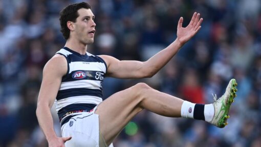 AFL CATS POWER
