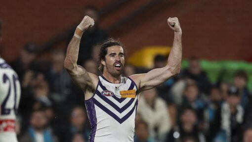 AFL POWER DOCKERS