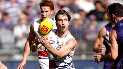 AFL DOCKERS BULLDOGS
