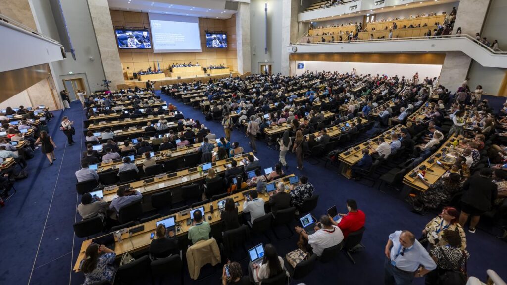 The United Nations plenary session on plastic pollution has gone on longer than expected.
