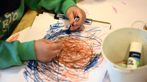 EARLY LEARNING STOCK