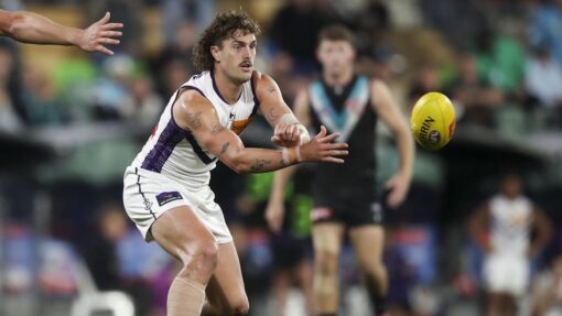 AFL POWER DOCKERS