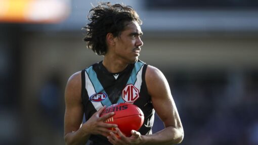 AFL POWER DEMONS