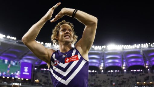 AFL DOCKERS LIONS