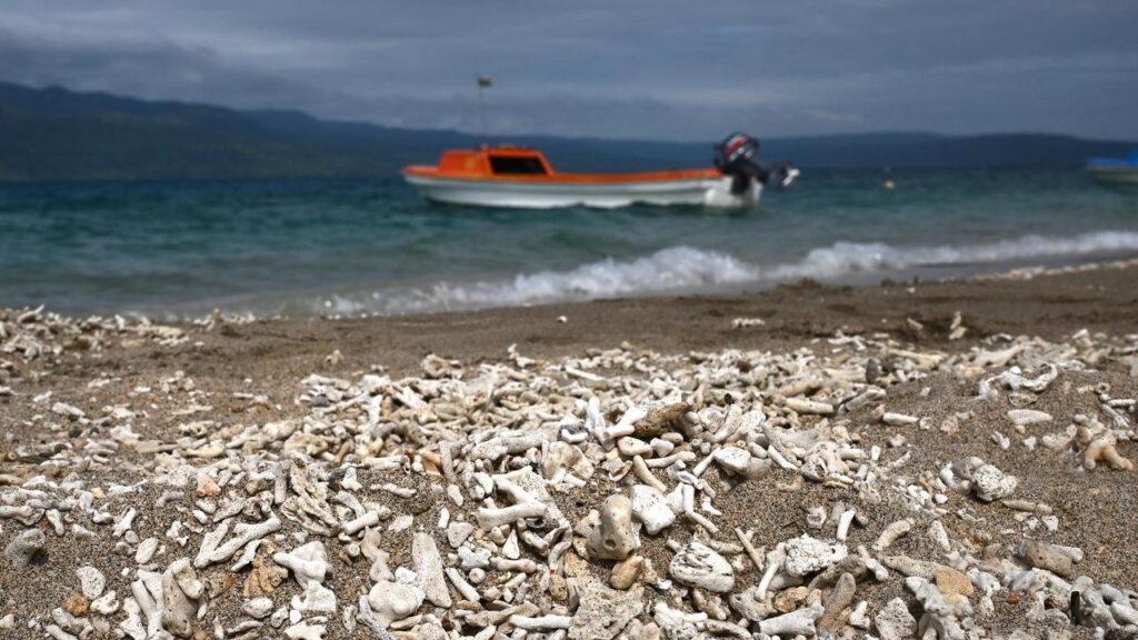 Pacific nations want investment and partnerships to help build climate-resilient infrastructure.
