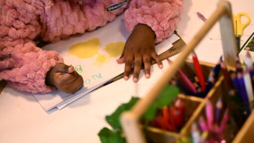 EARLY LEARNING STOCK