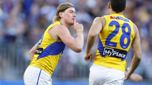 AFL DOCKERS EAGLES