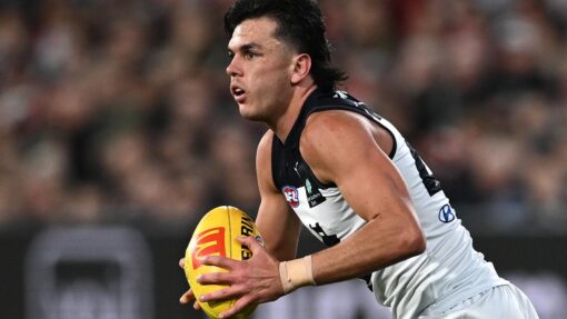 AFL SAINTS BLUES