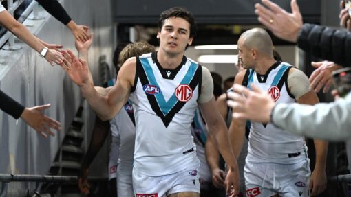 AFL LIONS POWER